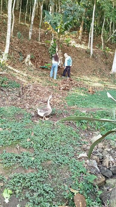 Chale Da Montanha Petropolis Βίλα Εξωτερικό φωτογραφία